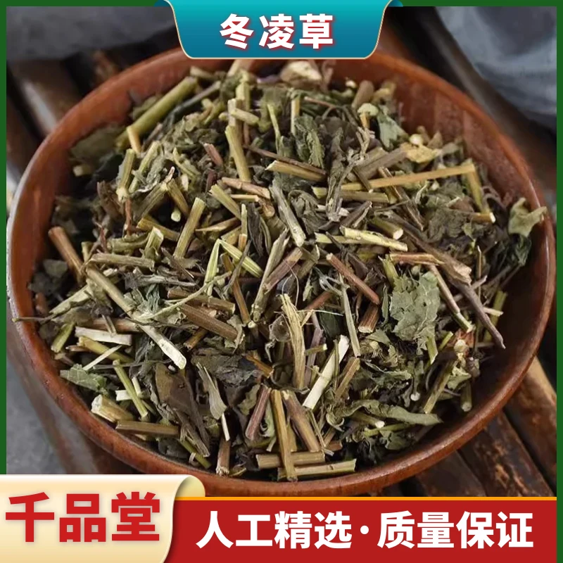 冬凌草野生冬凌草茶干货新货冬凌草煮水泡茶250g-500g包邮益母草