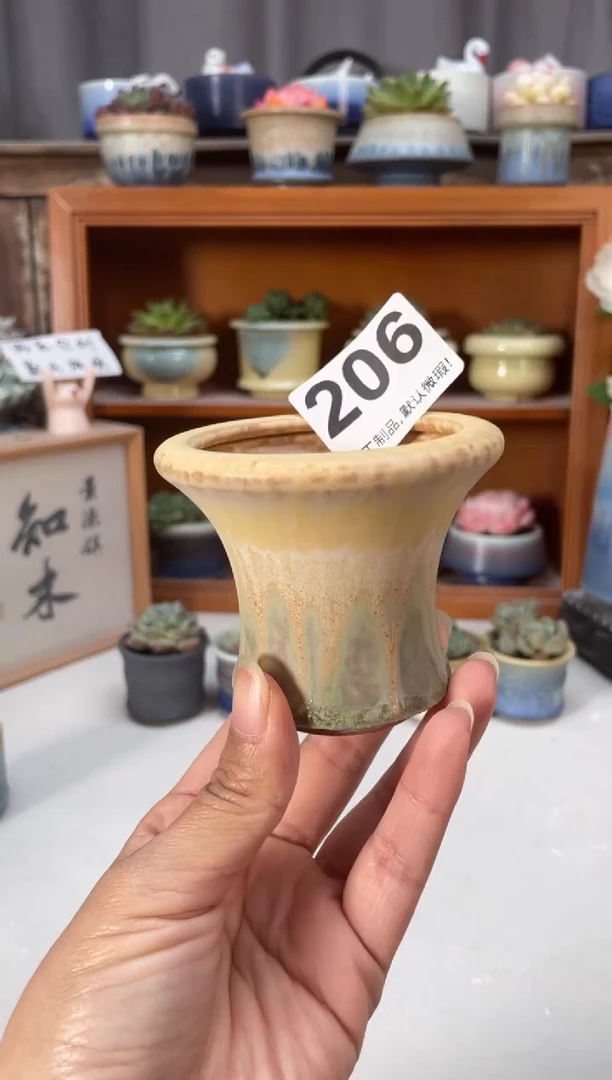 瓷片206知木小芳花盆