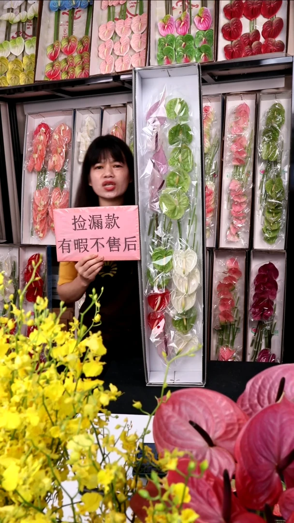 112混色迷你掌20支(15-20cm，横冠幅6cm)微瑕无售后慎拍！