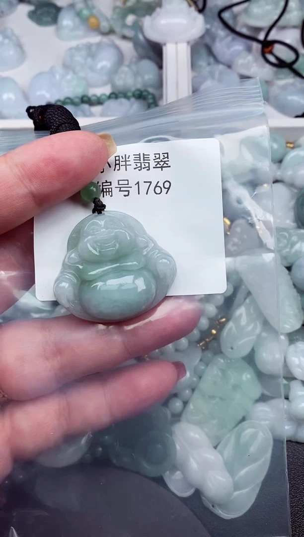 颈饰未镶嵌翡翠缅甸天然A货翡翠1769