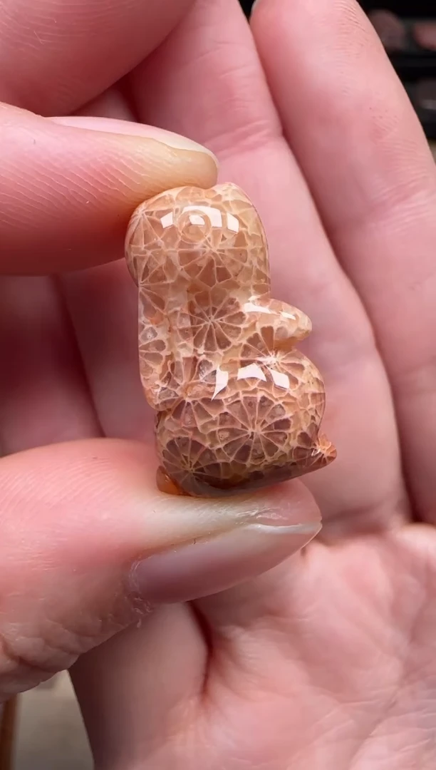 颈饰未镶嵌硅化珊瑚（珊瑚玉）110