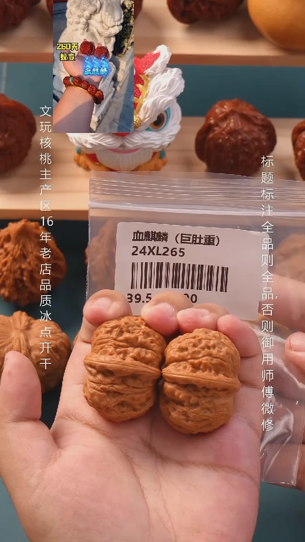 把件文玩核桃39血麒麟狮子头巨肚16号