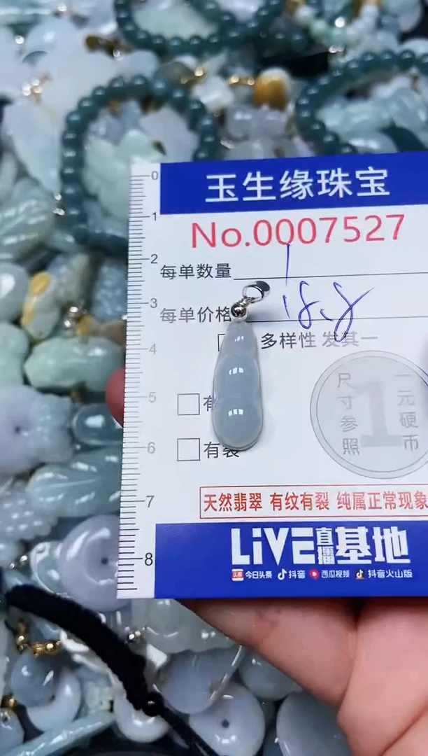 【闪购商品】翡翠颈饰未镶嵌闪购00007527