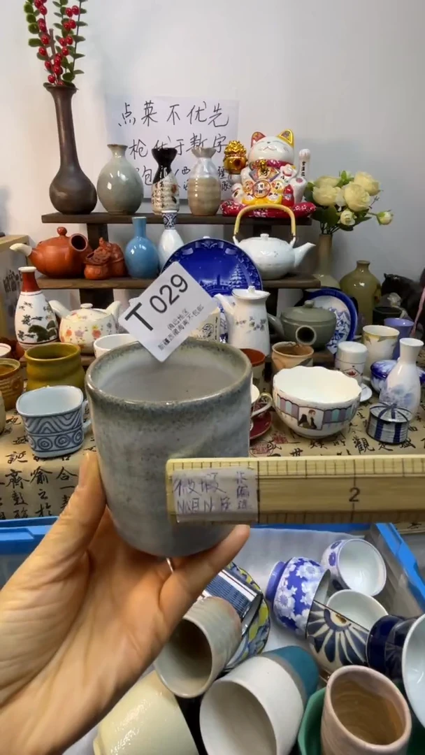 瓷片-T-        029