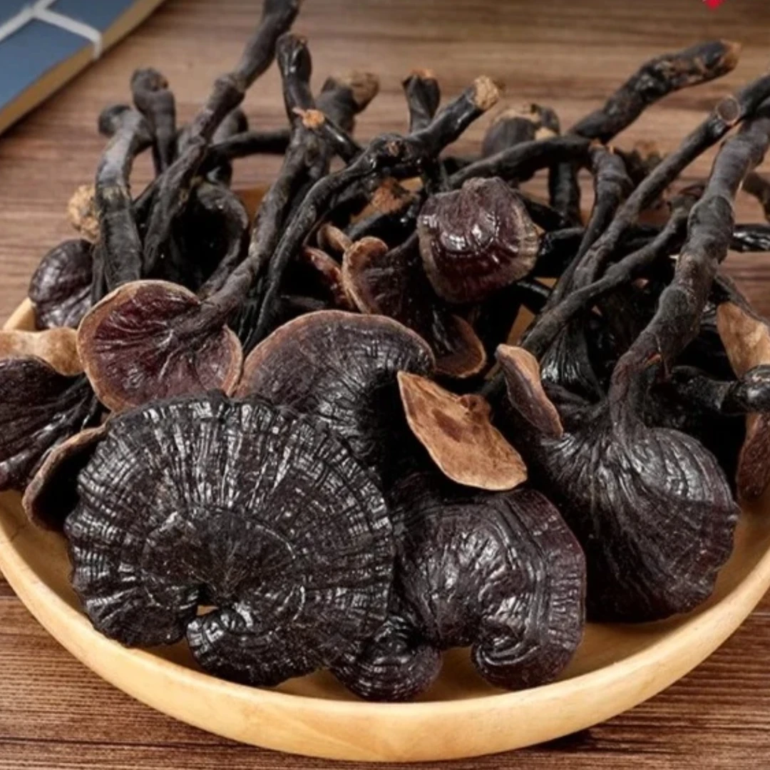 竹灵芝云南特产灵芝干货滋补品中药材正品草药紫灵芝