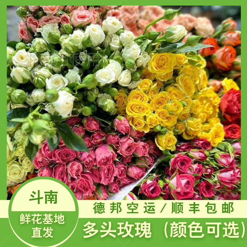 多头泡泡玫瑰云南基地直发家用水养鲜花