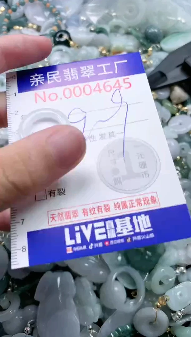 翡翠未镶嵌吊坠(不含链)4645