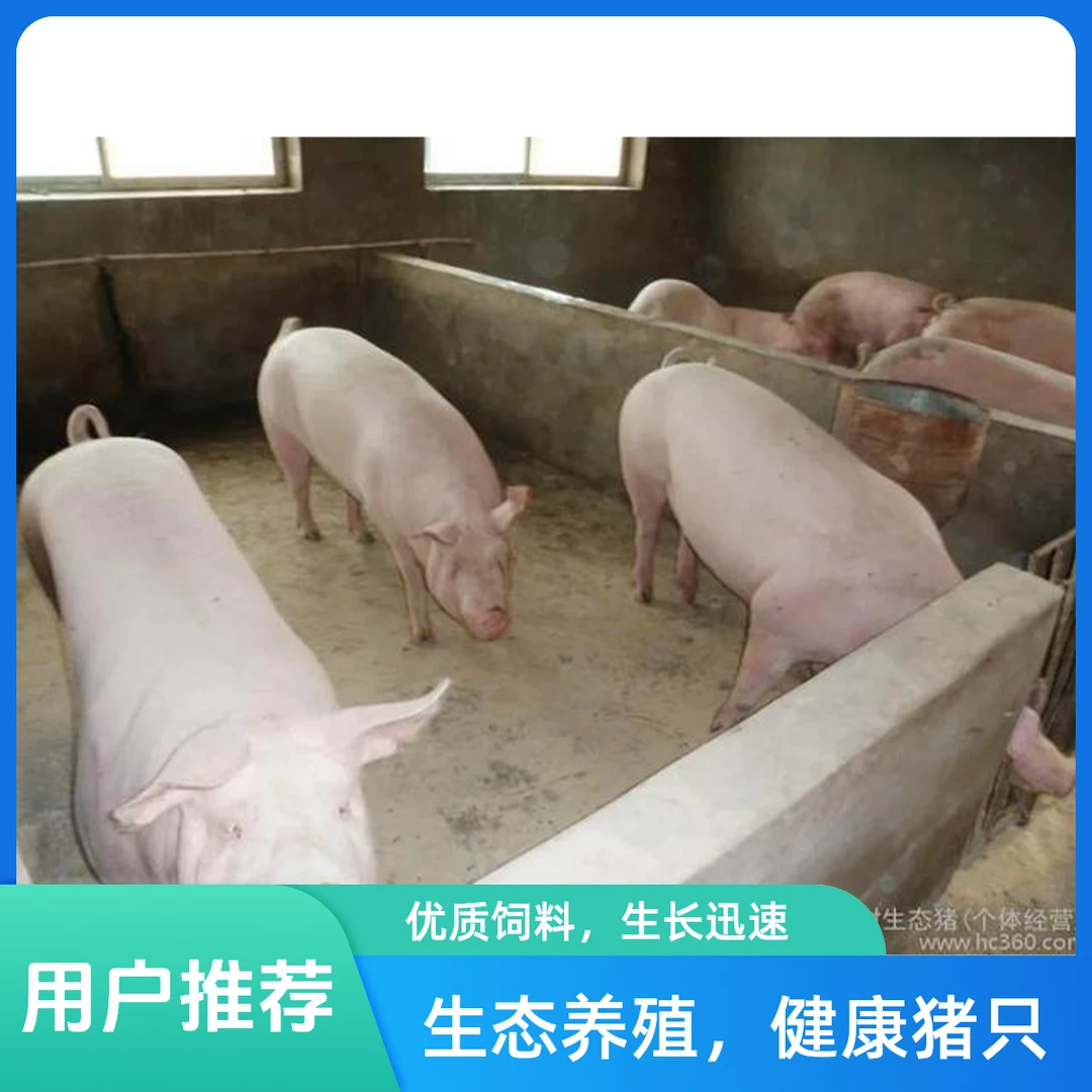 2号【直播间称重改价链接】东北纯粮喂养土猪肉(顺丰包邮)
