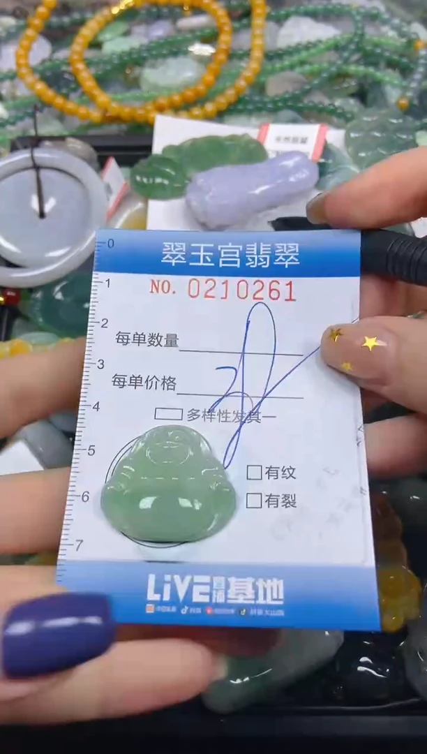 颈饰未镶嵌翡翠闪购C0210261