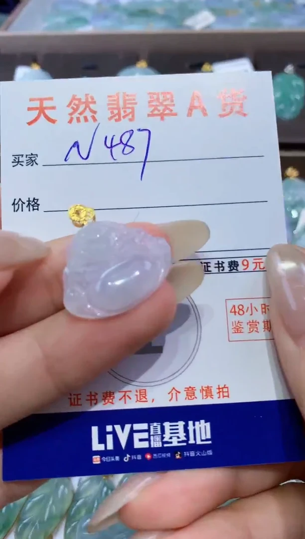 颈饰未镶嵌翡翠天然翡翠A货挂件