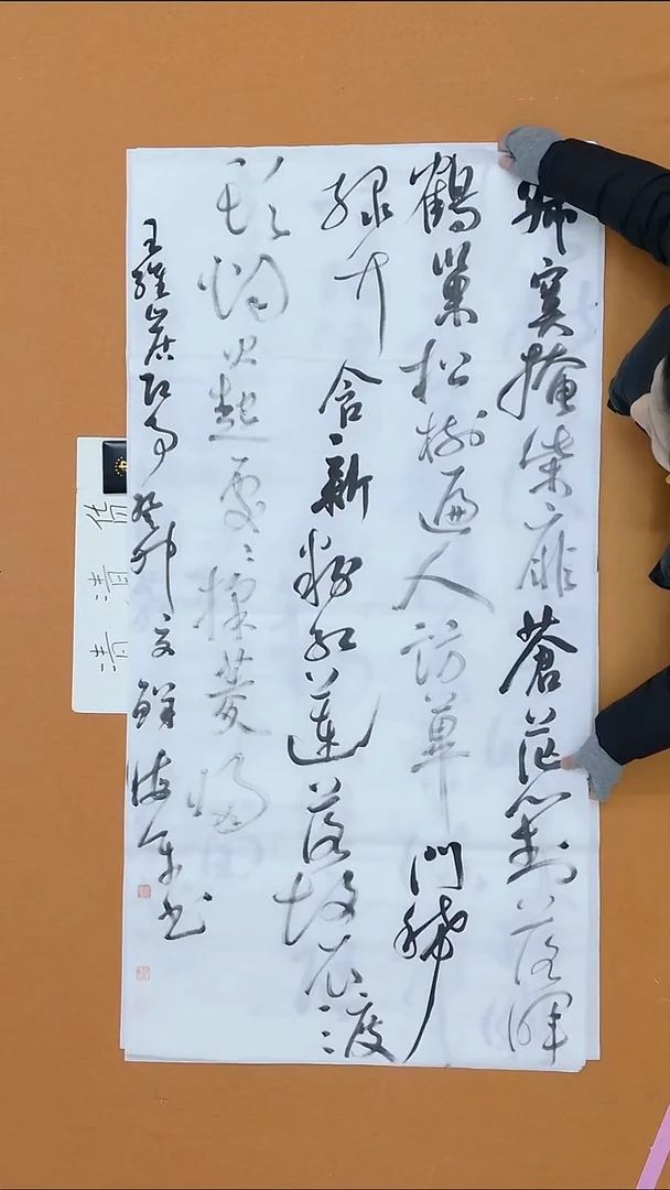 书法鲜海平 江苏行草书 12届届展  68*138 八平尺