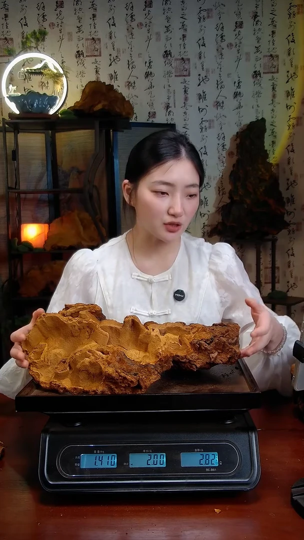 松针层孔菌中国大陆【藏区】松树桑黄（2.82斤）30-40年份