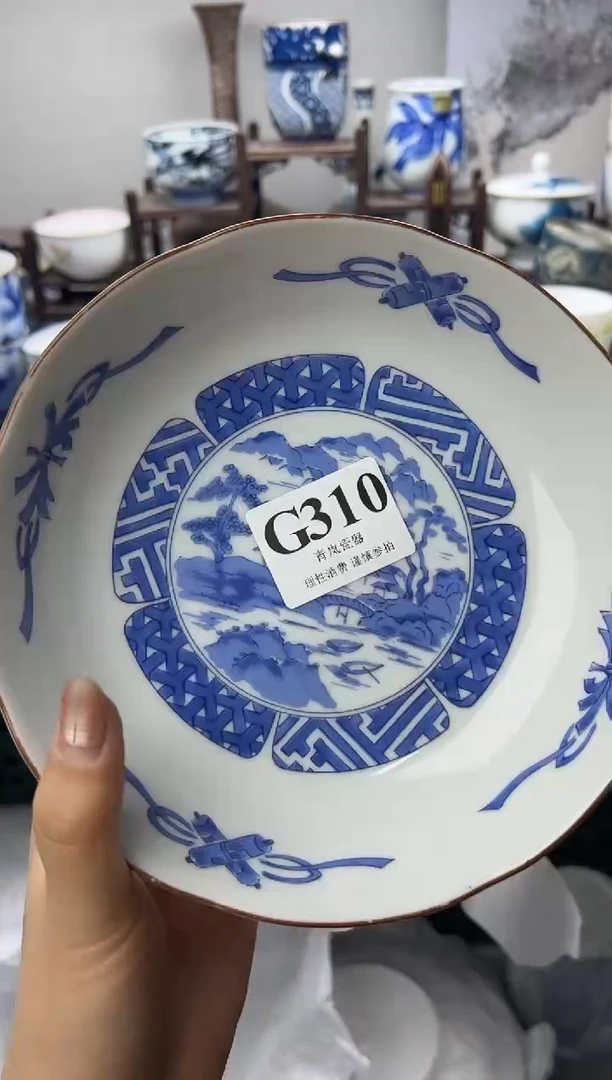 瓷片子*    G310