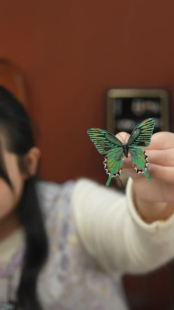 非金属无7号新款手绘蝴蝶 默认主体为边夹