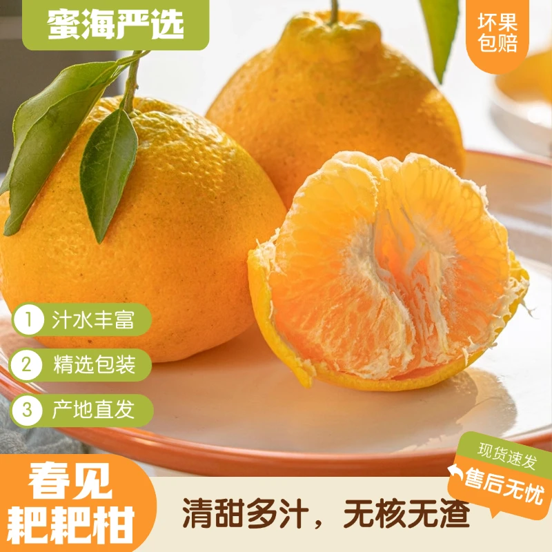 【蜜海严选】春见耙耙柑4.5斤装清甜多汁无核无渣粒大饱满新鲜直发