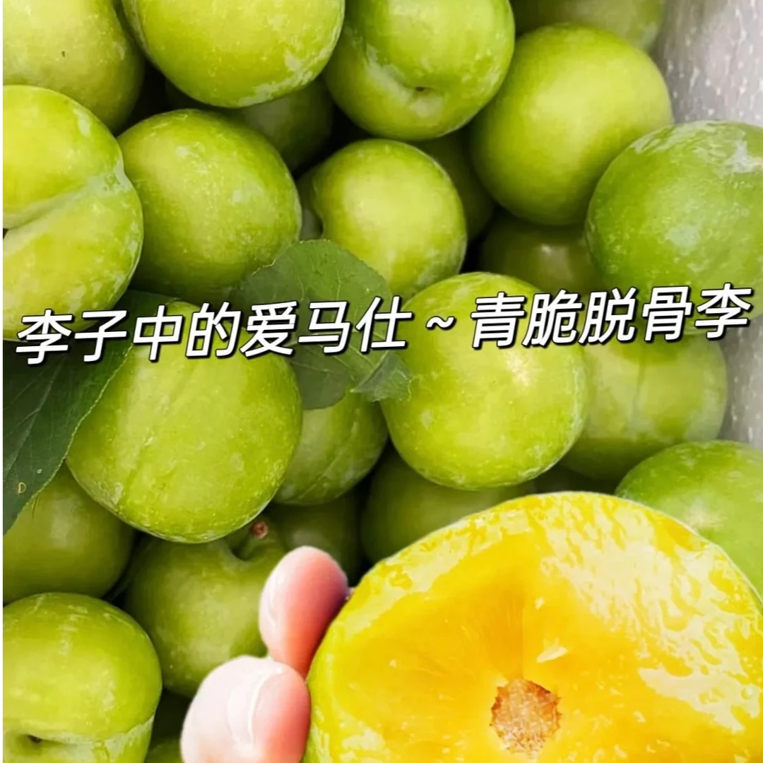 贵州高山新鲜应季青脆李脱骨脆甜多汁水果顺丰包邮现摘现发