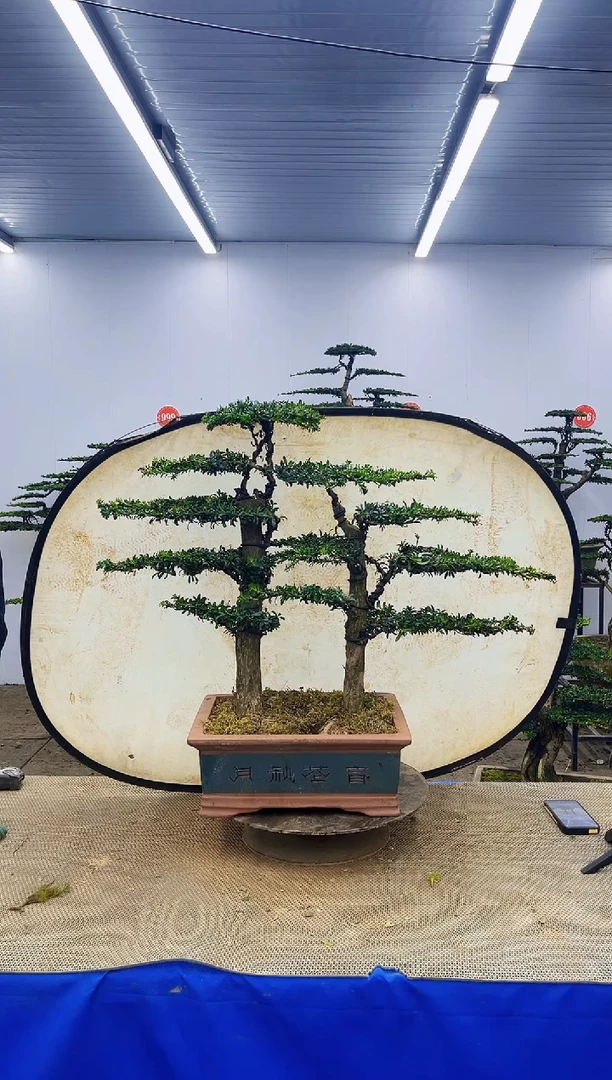 完全开放一物一拍，所见即所得