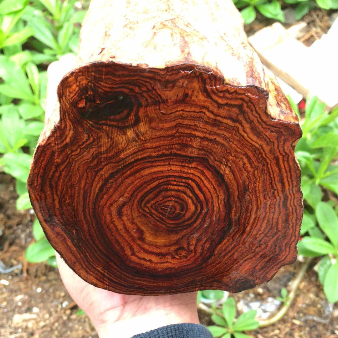 高货款定制，2.0单圈12颗+1备珠，保真海南黄花梨降香黄檀。