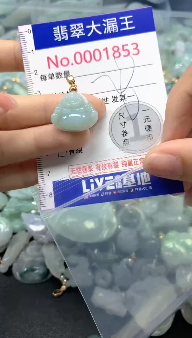 颈饰未镶嵌翡翠1853