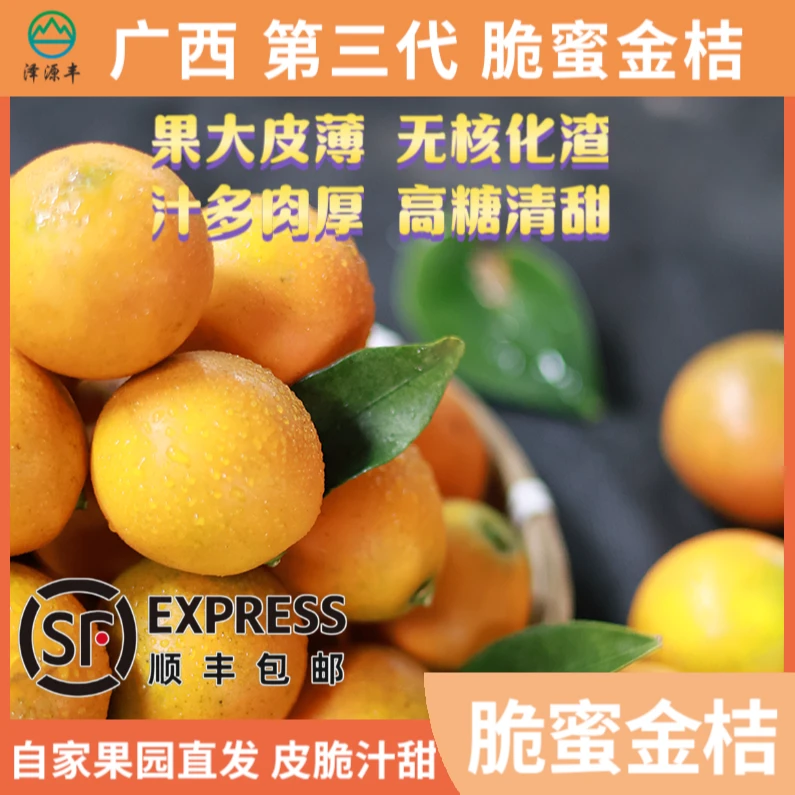 【脆蜜金桔】广西纯甜多汁无籽皮薄新鲜带皮吃果地现摘产地直发DR