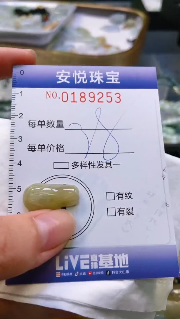 翡翠未镶嵌颈饰闪购0189253