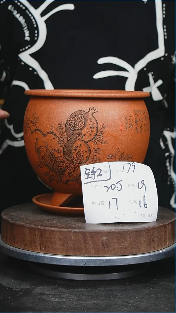 紫砂花盆花卉园艺179+z