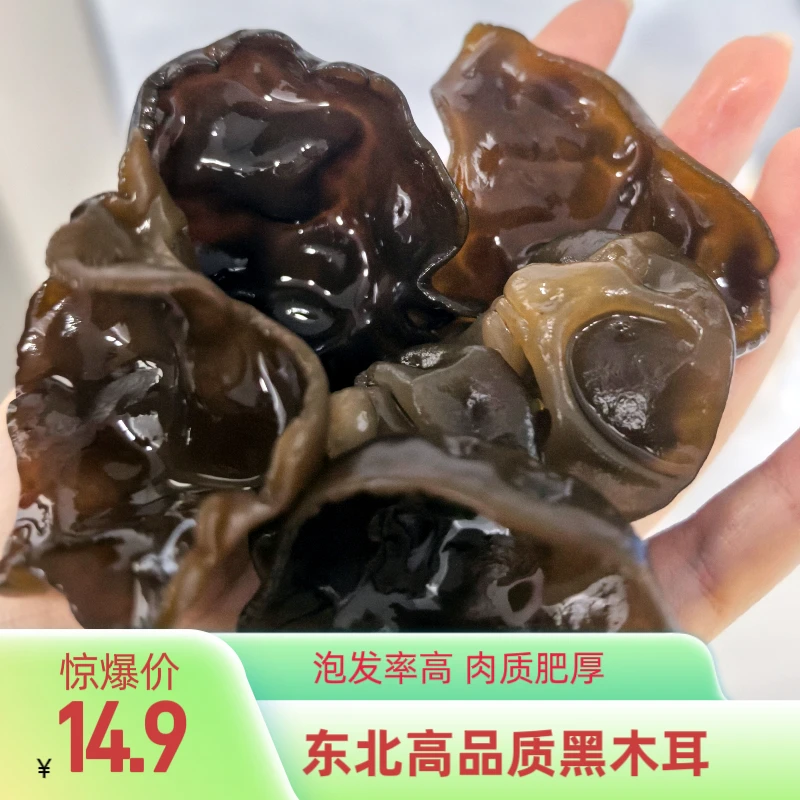 东北特产黑木耳品质好肉质肥厚泡发率超高炒菜炖肉木耳干货100g