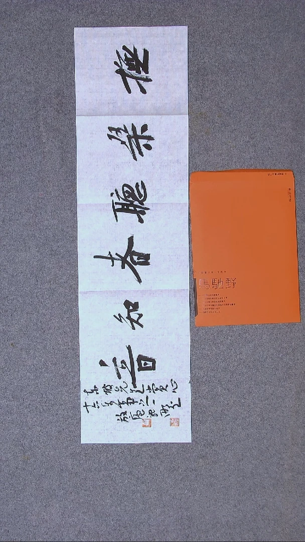 书法马驰野 吉林90*24（5）