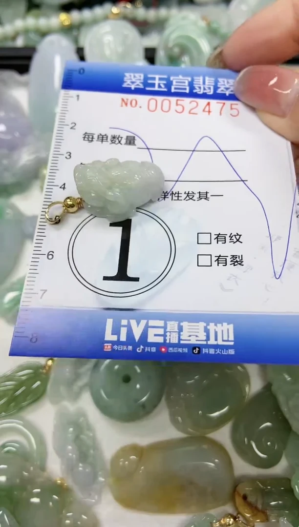 【闪购商品】翡翠颈饰未镶嵌闪购0052475