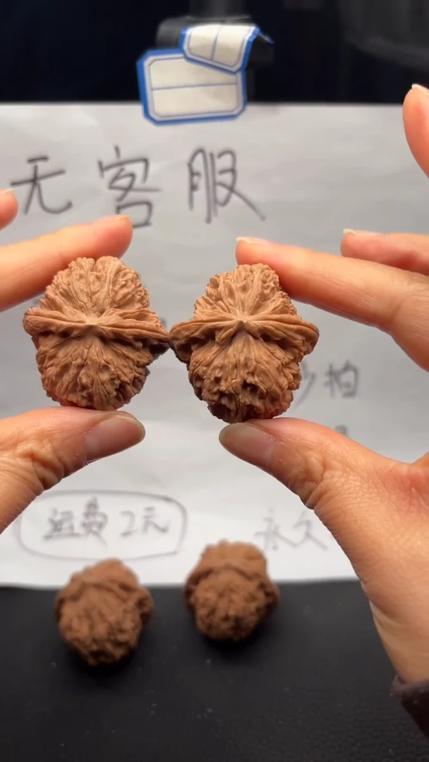 把件文玩核桃152白狮子