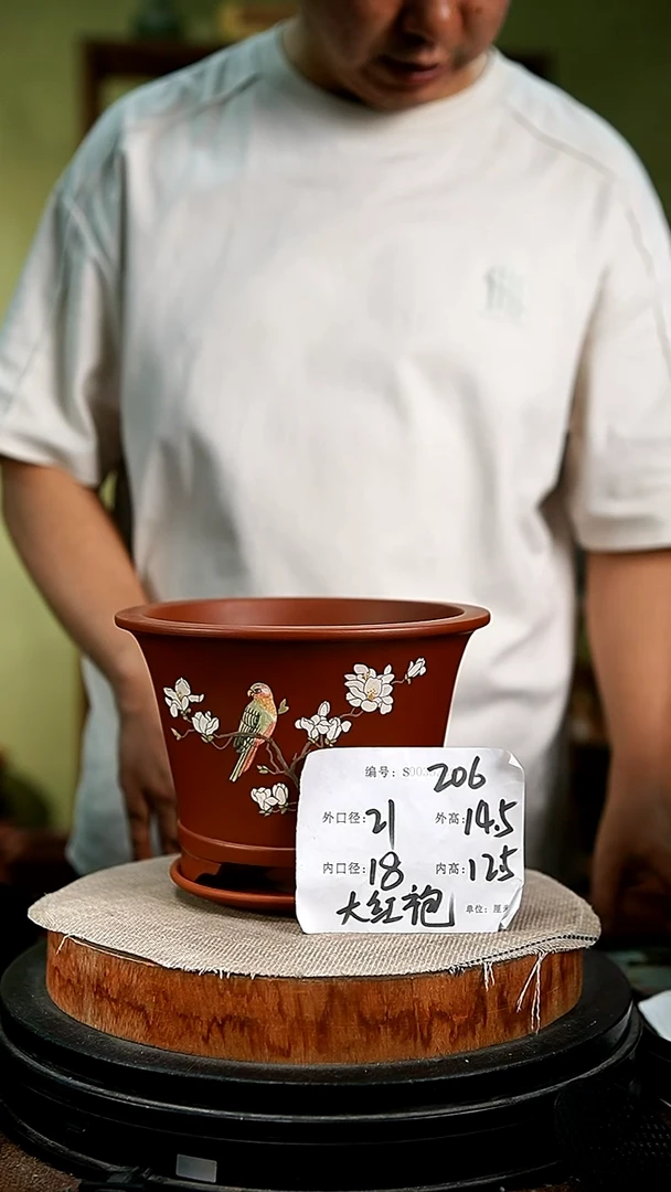 紫砂花盆花卉园艺206+z