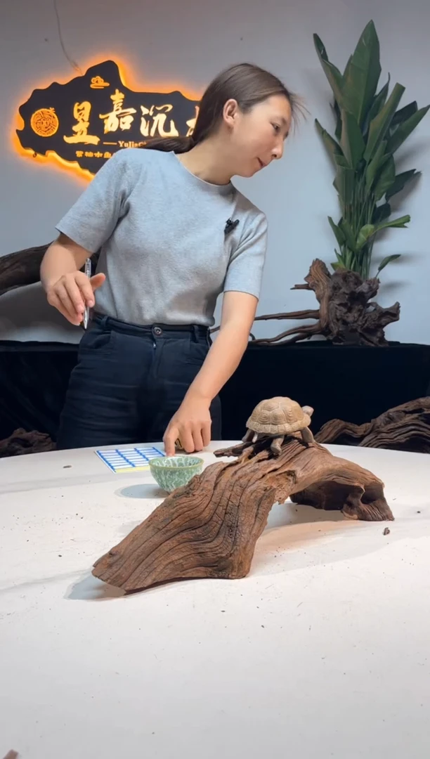 【闪购商品】柚木木雕一物一拍4