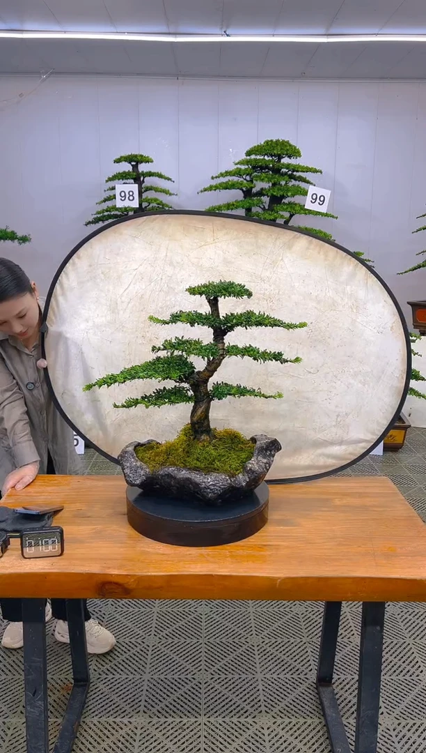 无花朵一物一拍一物一拍