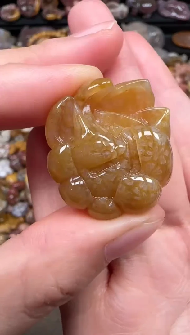 颈饰未镶嵌硅化珊瑚（珊瑚玉）204