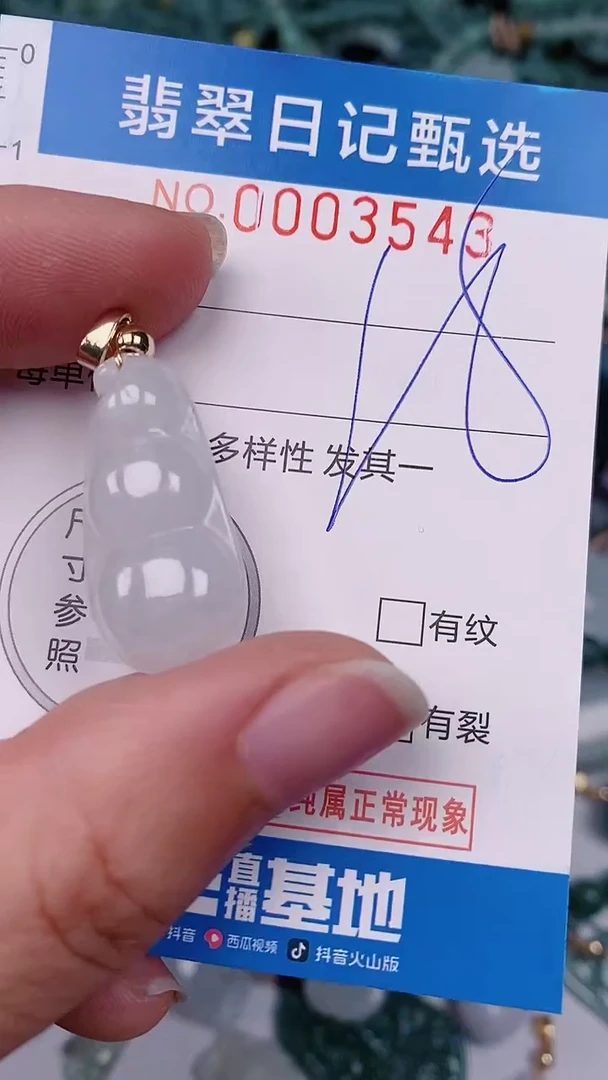 【闪购商品】翡翠颈饰未镶嵌00003543