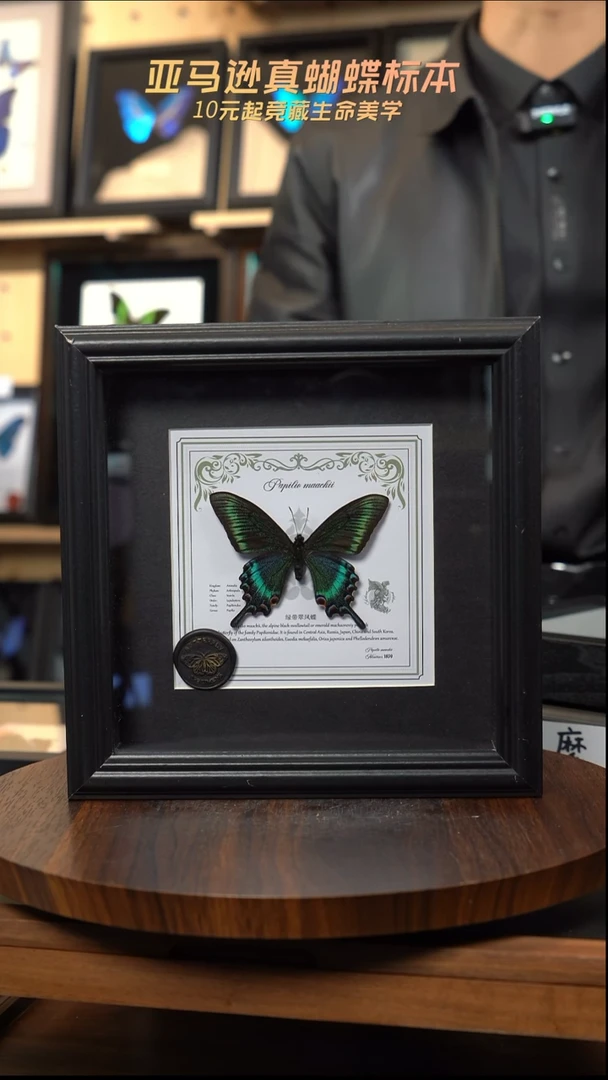 绿带翠凤蝶春型7寸欧式方框