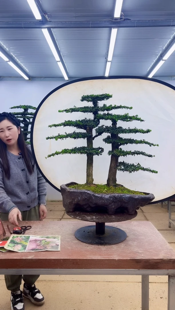 无花朵一物一拍，所见即所得
