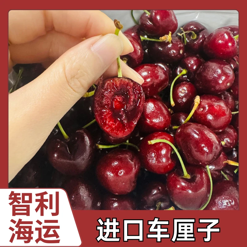 【5斤原箱】顺丰京东发货 海运 智利桑提娜车厘子 JD内附果径卡W0