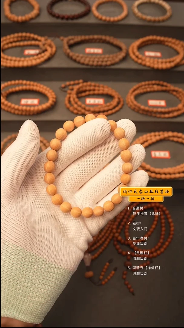 吊坠五线菩提趙手串