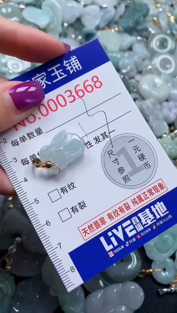 颈饰未镶嵌翡翠3668