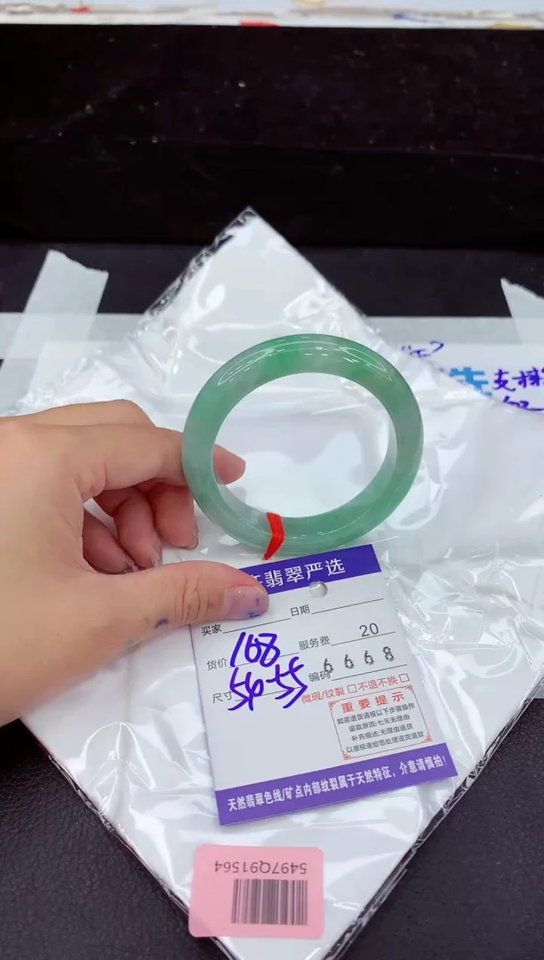 未镶嵌手镯翡翠1