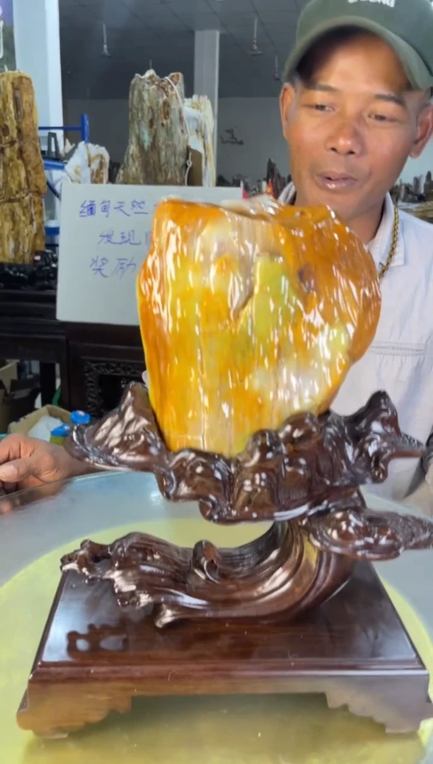 未镶嵌摆件硅化玉41