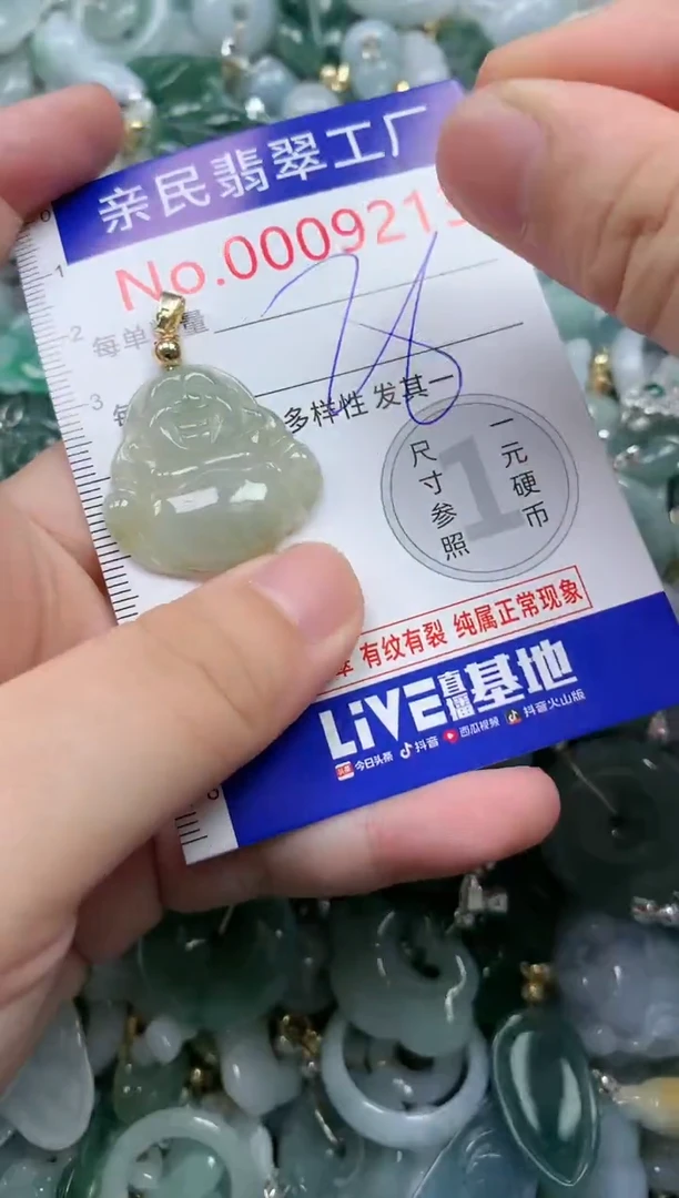 翡翠未镶嵌吊坠(不含链)9213