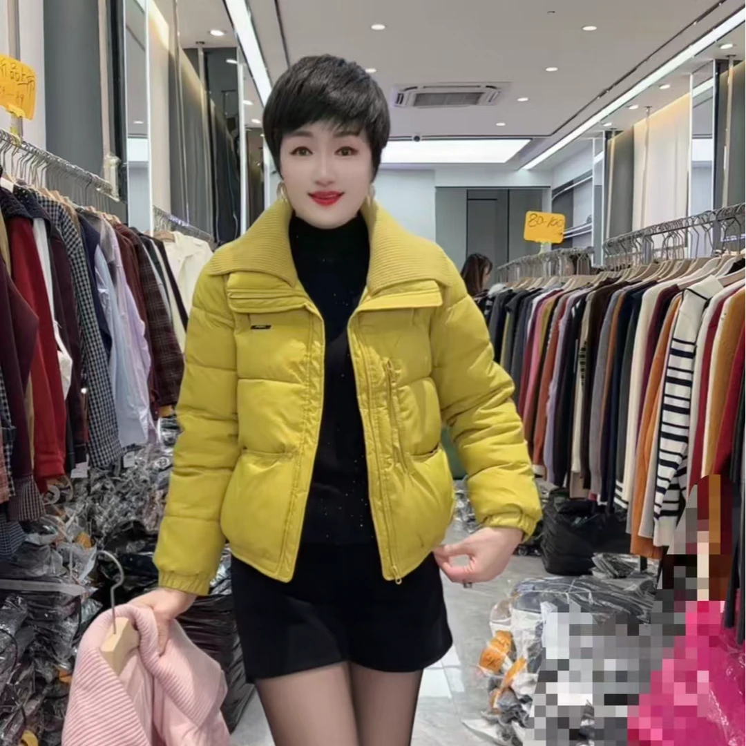 短款纯色保暖修身型棉衣棉服网红韩版休闲立领