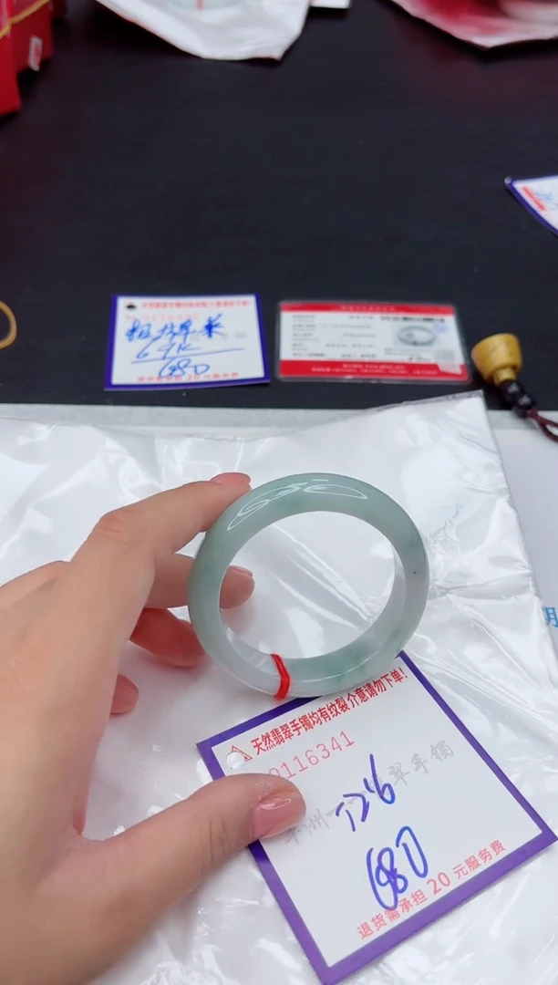 未镶嵌手镯翡翠1111111