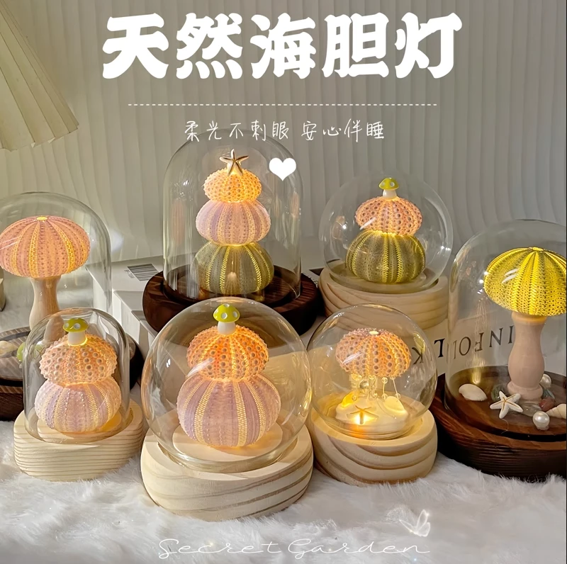 手工打造海洋复古贝壳海胆海螺小夜灯摆件