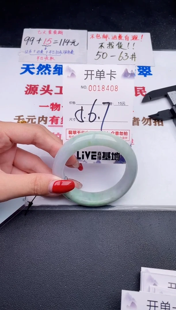 未镶嵌手镯翡翠08