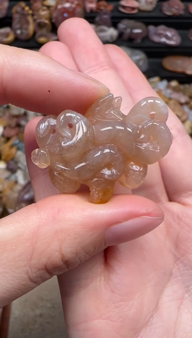 颈饰未镶嵌硅化珊瑚（珊瑚玉）673