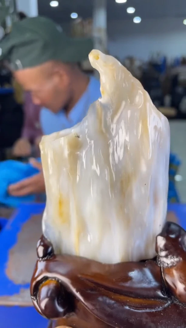 未镶嵌摆件硅化玉1