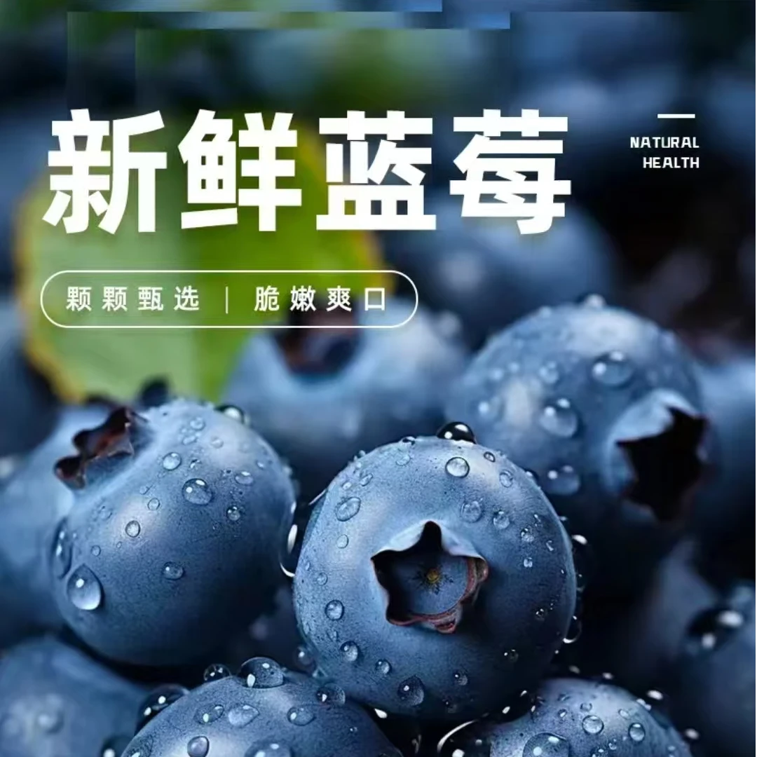 【巨无霸】18-20mm蓝莓新鲜采摘 应季蓝莓鲜果 酸甜爆汁100g/盒